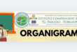 ORGANIGRAMMA  SICUREZZA A.S. 2024/2025